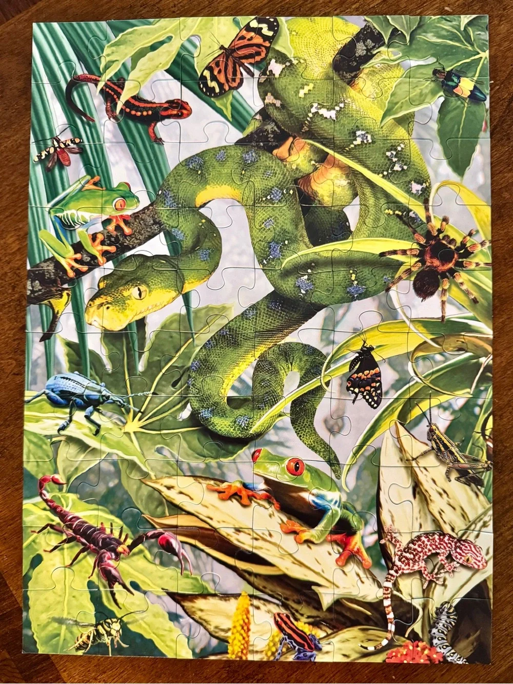 EUC Ravensburger 60-piece puzzle featuring a snake, frog, jungle…